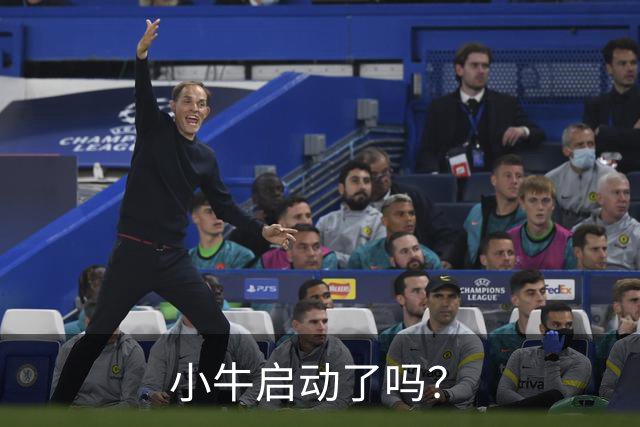 小牛启动了吗？